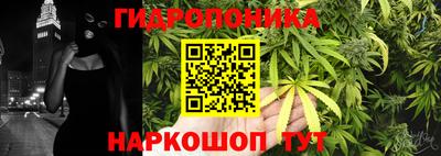 эйфоретик Ачхой-Мартан